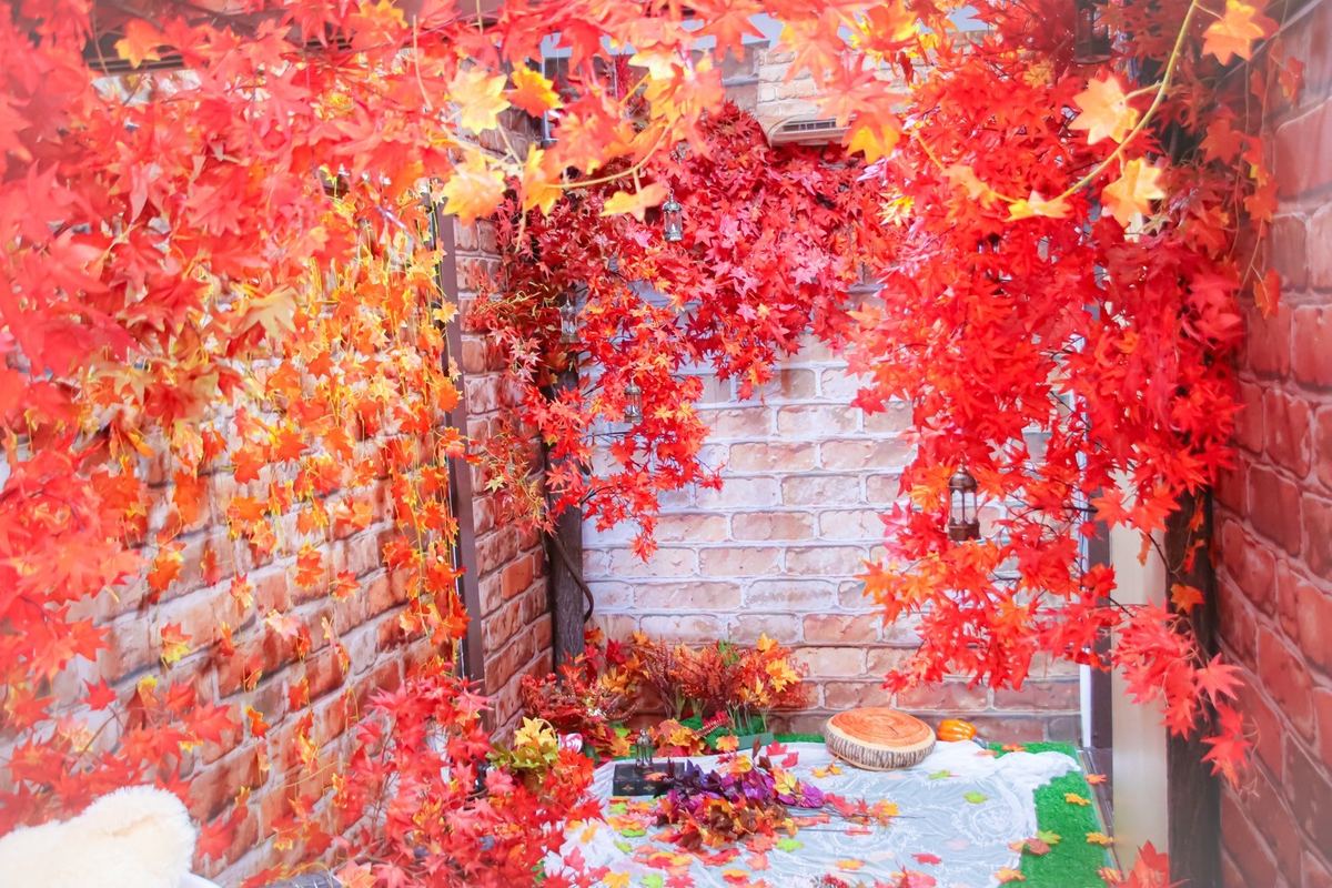 紅葉エリア
