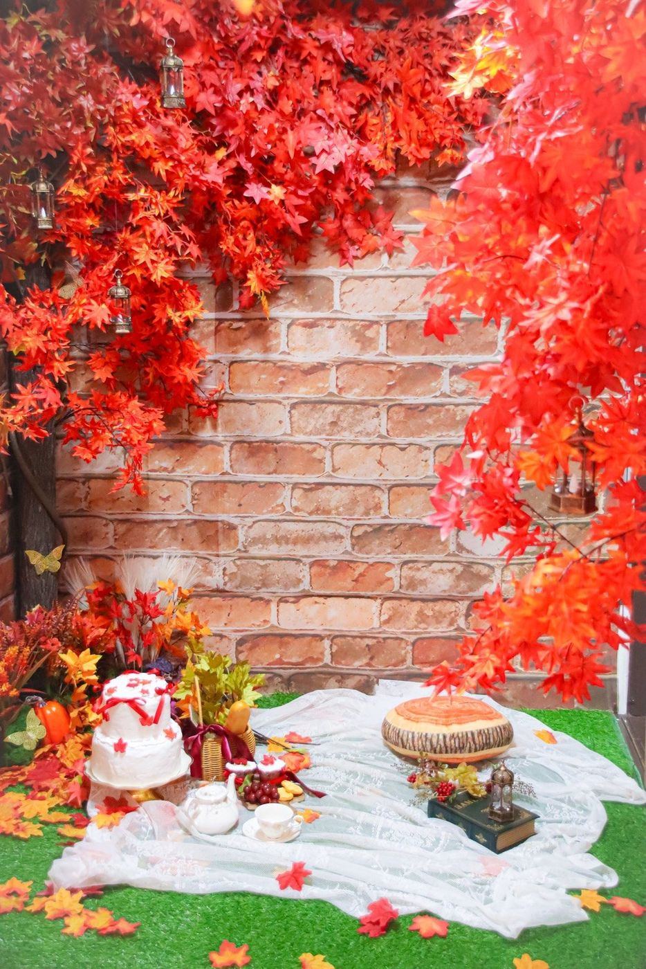 紅葉エリア(あかるいとき)